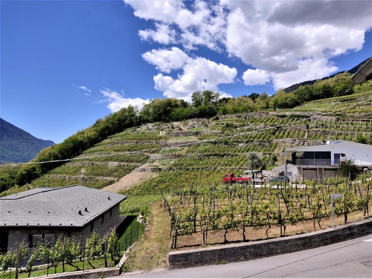 B&B Il Germoglio Castione Andevenno Exterior photo